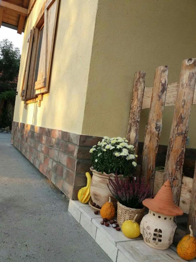 Rita Apartman & Studio Zrenjanin Luaran gambar