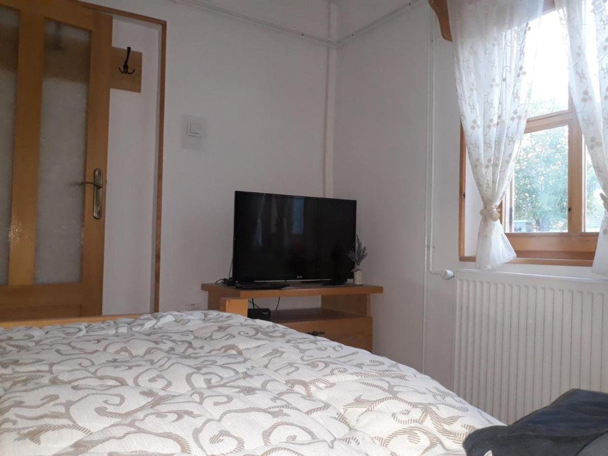 Rita Apartman & Studio Zrenjanin Luaran gambar