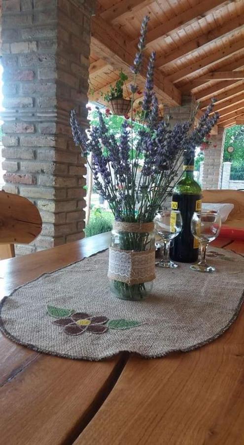 Rita Apartman & Studio Zrenjanin Luaran gambar