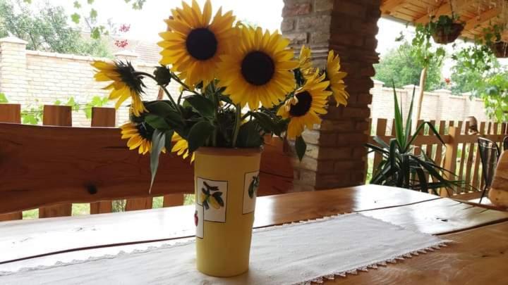 Rita Apartman & Studio Zrenjanin Luaran gambar